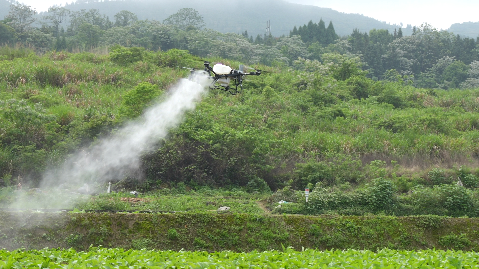 4月16日 (1)(7).jpg