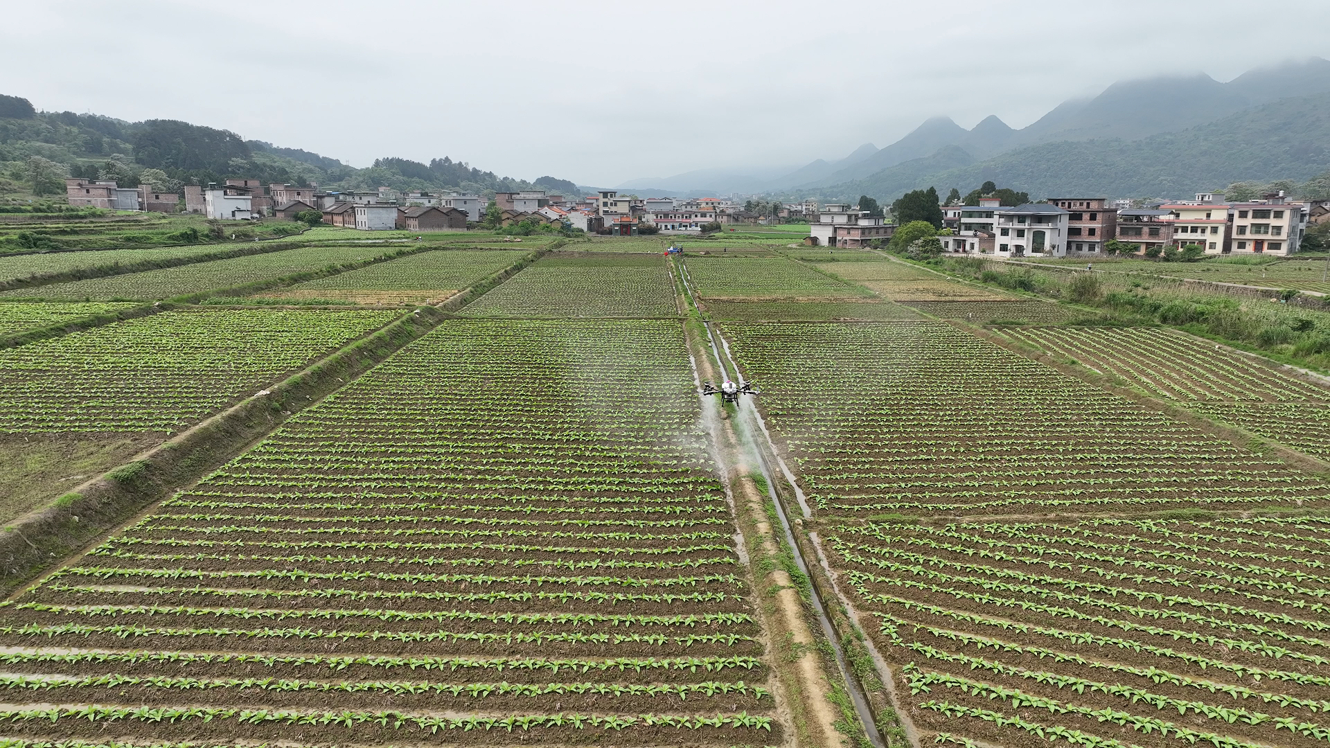 4月16日 (1)(6).jpg