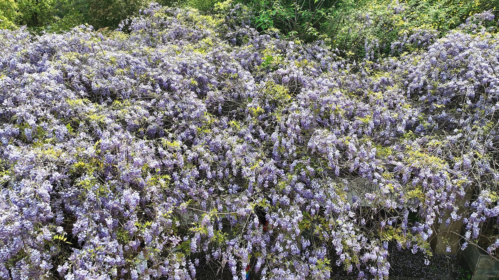 3月30日_副本.jpg 3月30日_副本.jpg