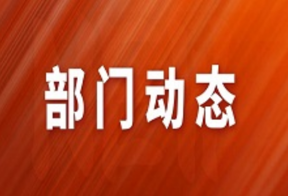 县市场监管局：暖心服务解难题，廉洁高效获赞誉