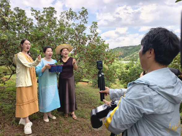 电商赋能杨梅热销 激活乡村振兴新活力