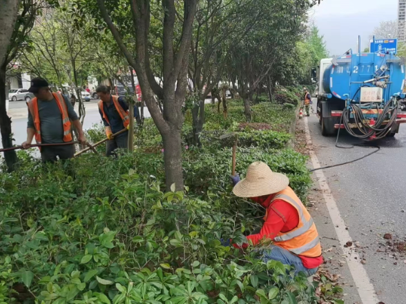 宜章：城管以巡促改 筑牢城市安全运行防线