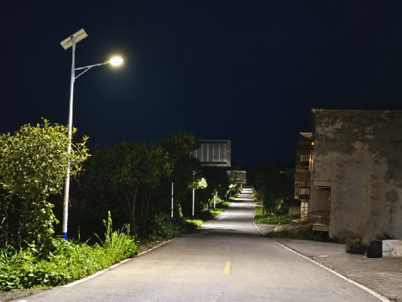 笆篱镇东风村:点亮乡村“夜”生活 守护群众“平安路”