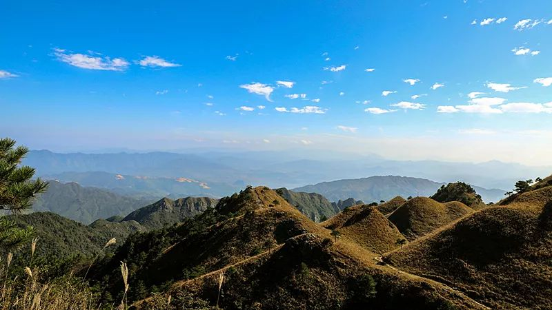 狮子口大山位于湘,粤,赣三省交界处的郴州市宜章县,拥有原始森林35万