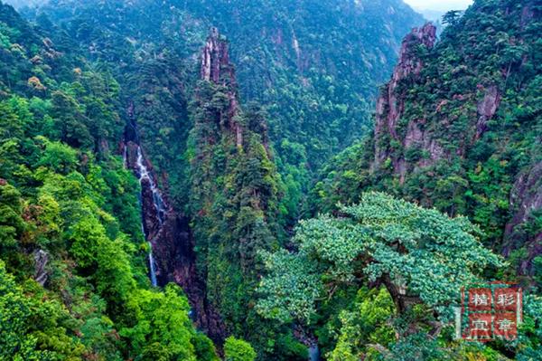 201911251574682351640030948_Watermarking.png 201911251574682351640030948_Watermarking.png