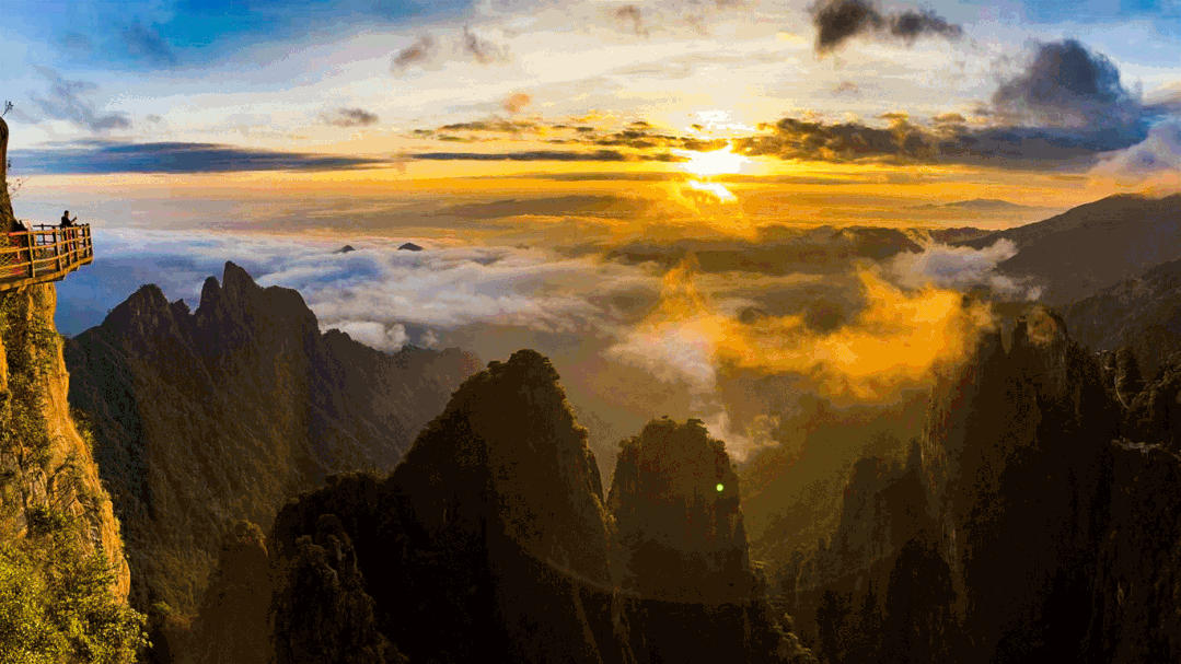 cc84708a-a0ab-4b0c-88d4-57a89fb94d45.gif