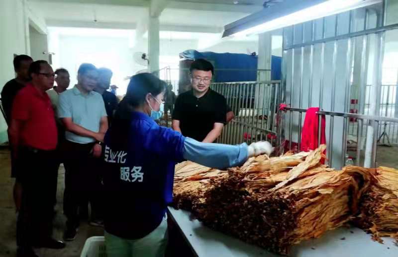 微信图片_20220820213709.jpg 微信图片_20220820213709.jpg