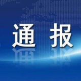 中共宜章县商务局党组关于巡察整改进展情况的通报