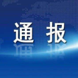 中共宜章县五岭镇委员会关于巡察整改进展情况的通报