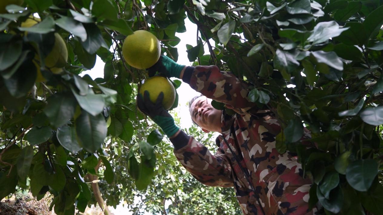 d0fcdc96df59e4f7fb866083eb4b2d5.jpg d0fcdc96df59e4f7fb866083eb4b2d5.jpg