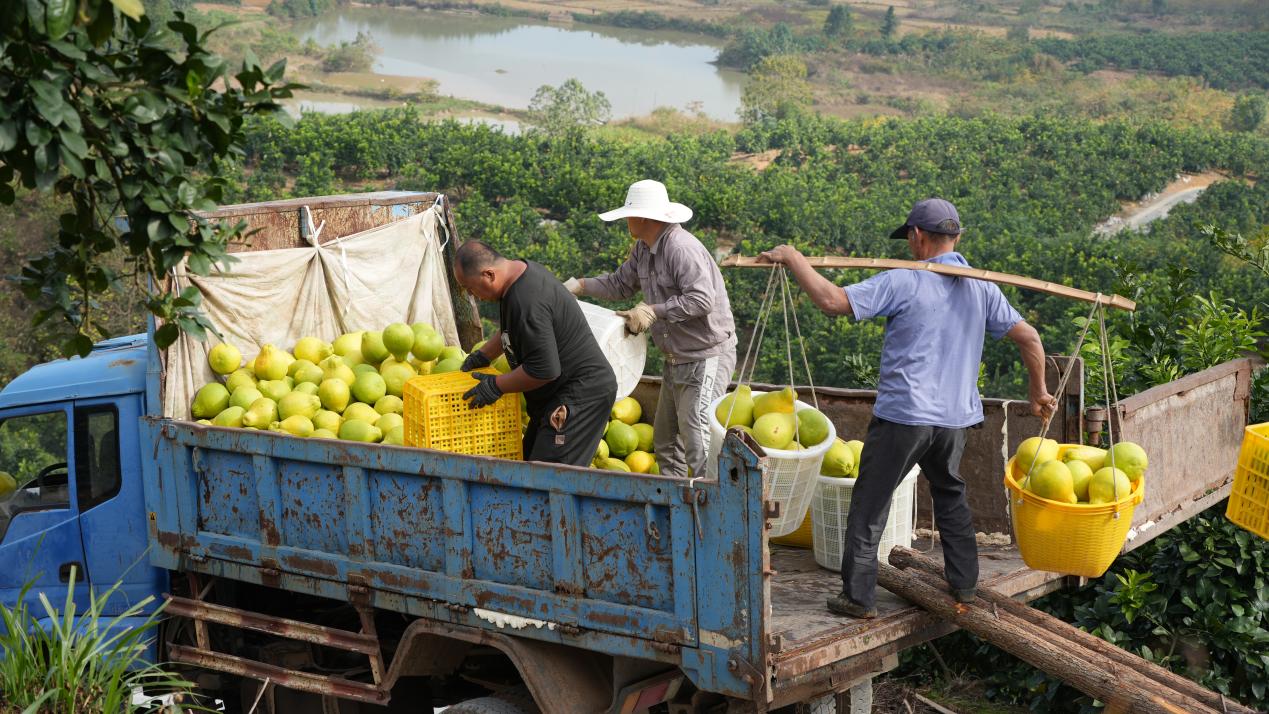 d9b022d302247e8e887a863be235cd4.jpg d9b022d302247e8e887a863be235cd4.jpg