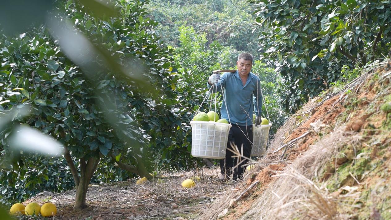 b578b24c22f6d5d7382408792fff0ed.jpg b578b24c22f6d5d7382408792fff0ed.jpg