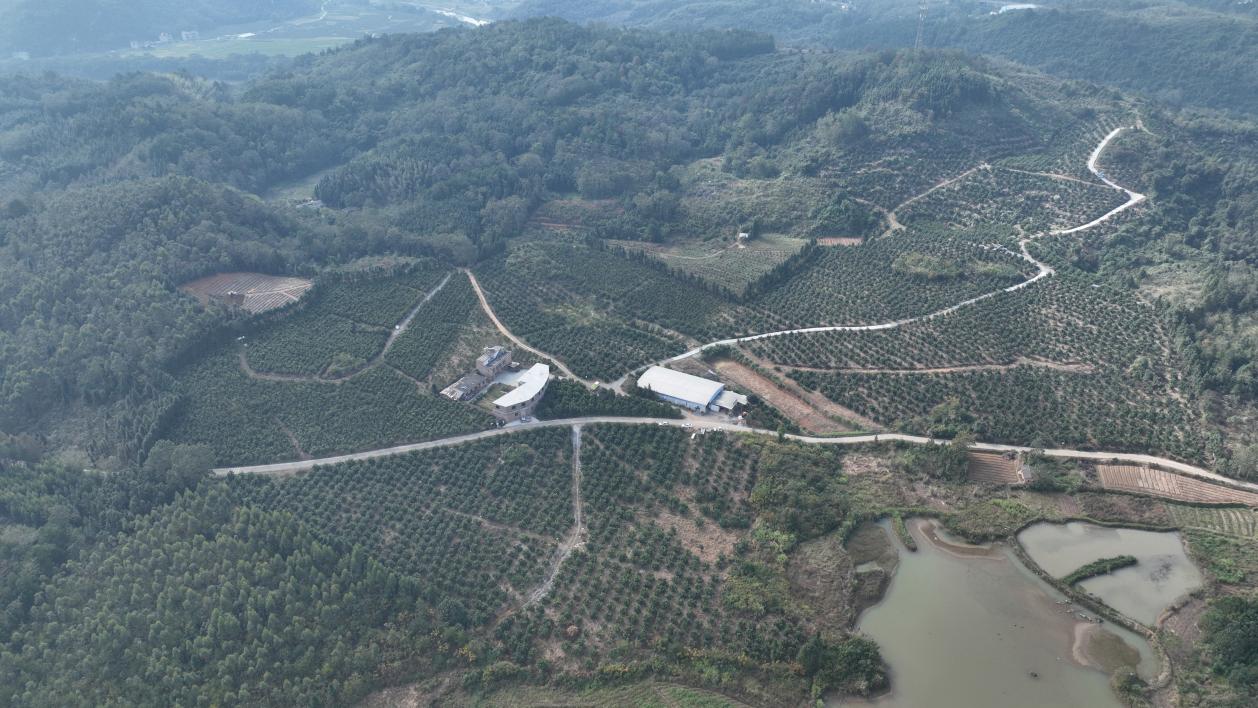 1dc17adcadad7553e2ae91d49482c5e.jpg 1dc17adcadad7553e2ae91d49482c5e.jpg