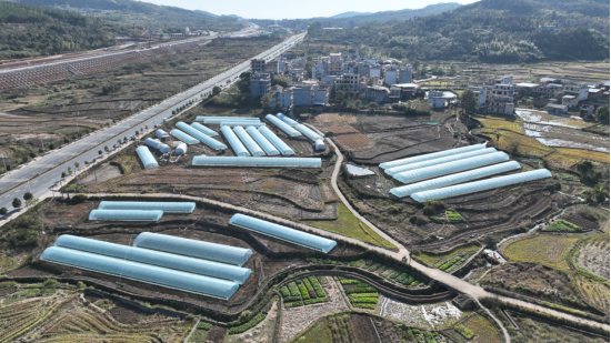 宜章县留军村:草莓别样红 乡村采摘乐(1)583.png 宜章县留军村:草莓别样红 乡村采摘乐(1)583.png