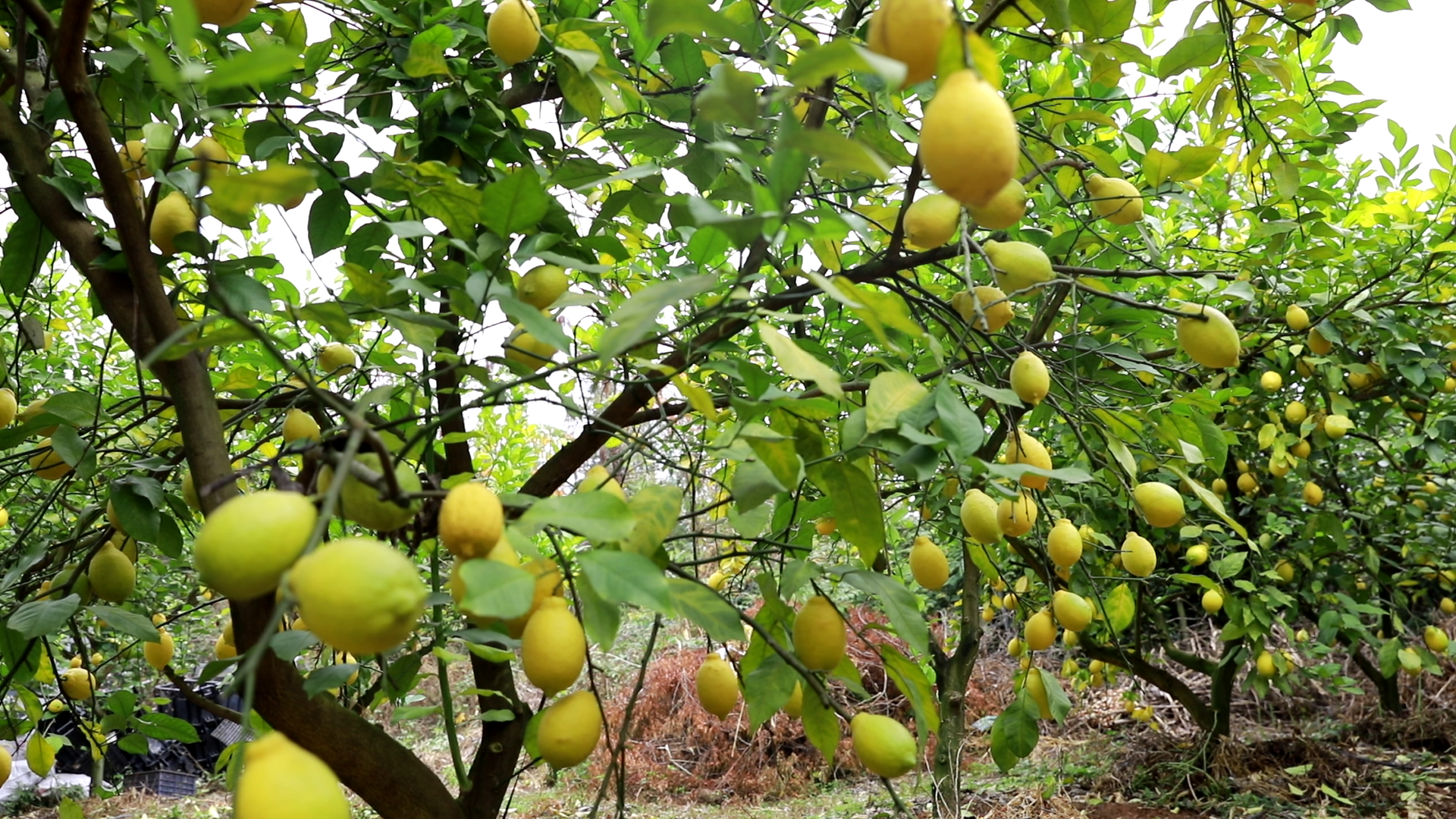 b509a8d582fa02a203d572d21003cf0e.png b509a8d582fa02a203d572d21003cf0e.png