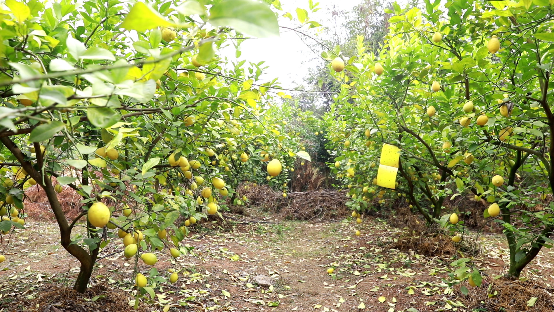 32f0418010efe4d815c4a1243e74422c.png 32f0418010efe4d815c4a1243e74422c.png