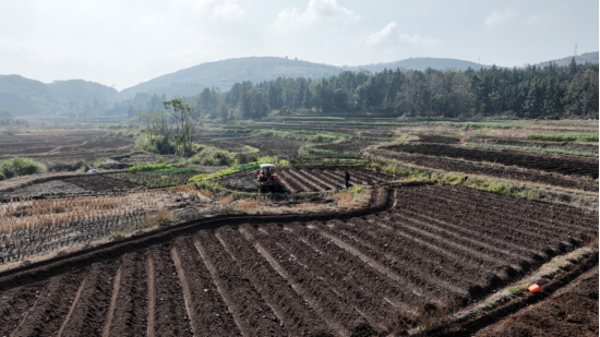 宜章县：4万亩烟田翻耕忙(1)413.png