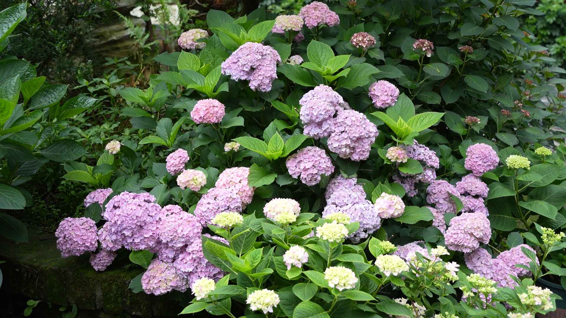 image019.jpg