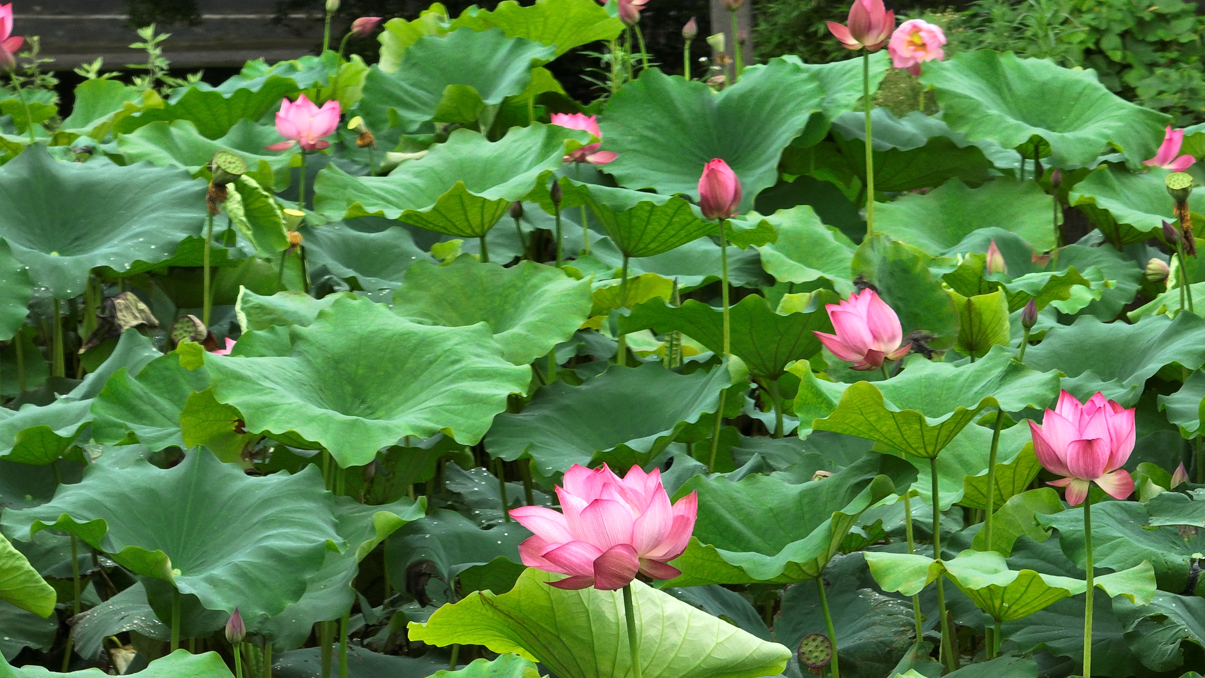 image015.jpg