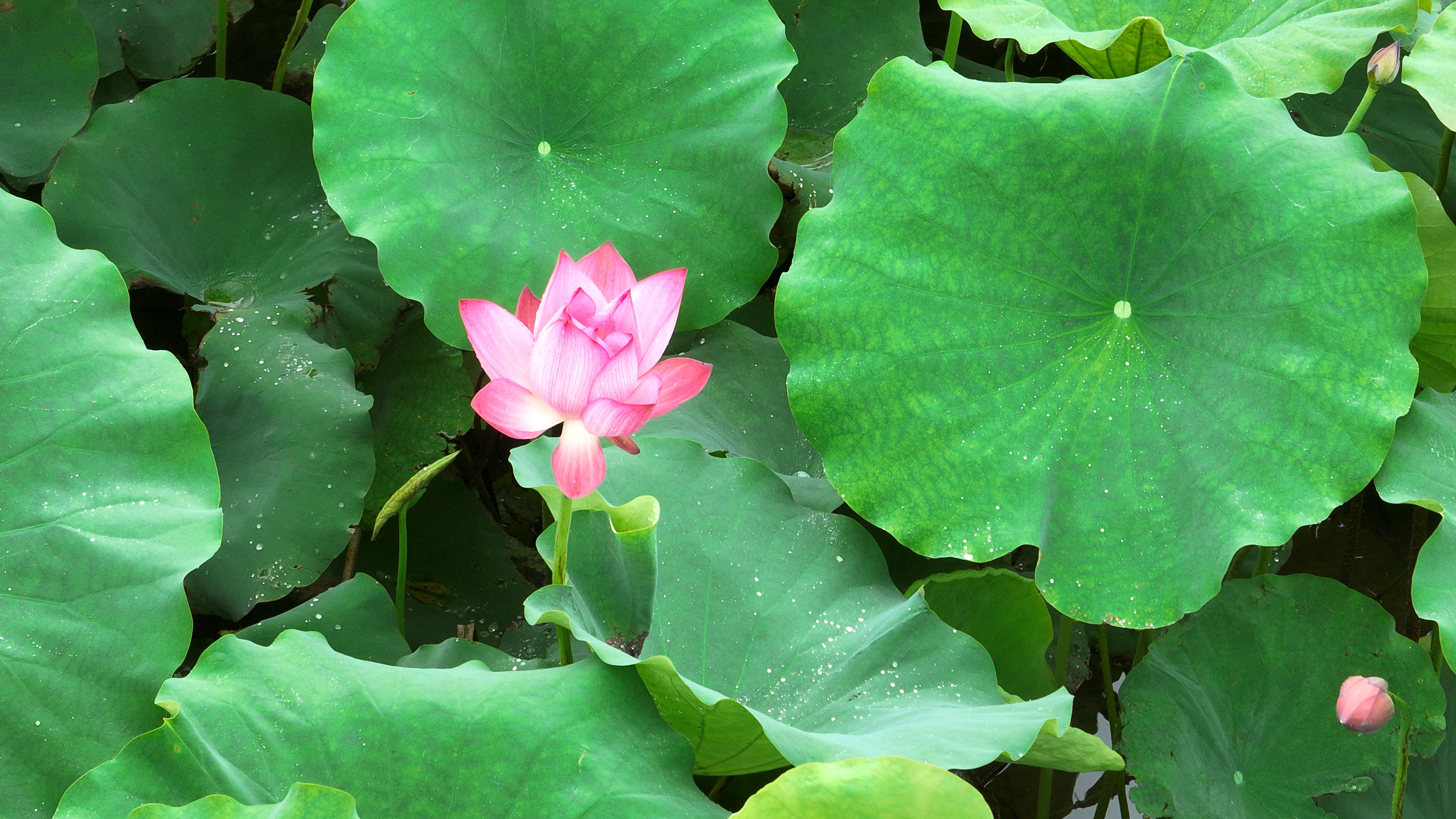 image001.jpg