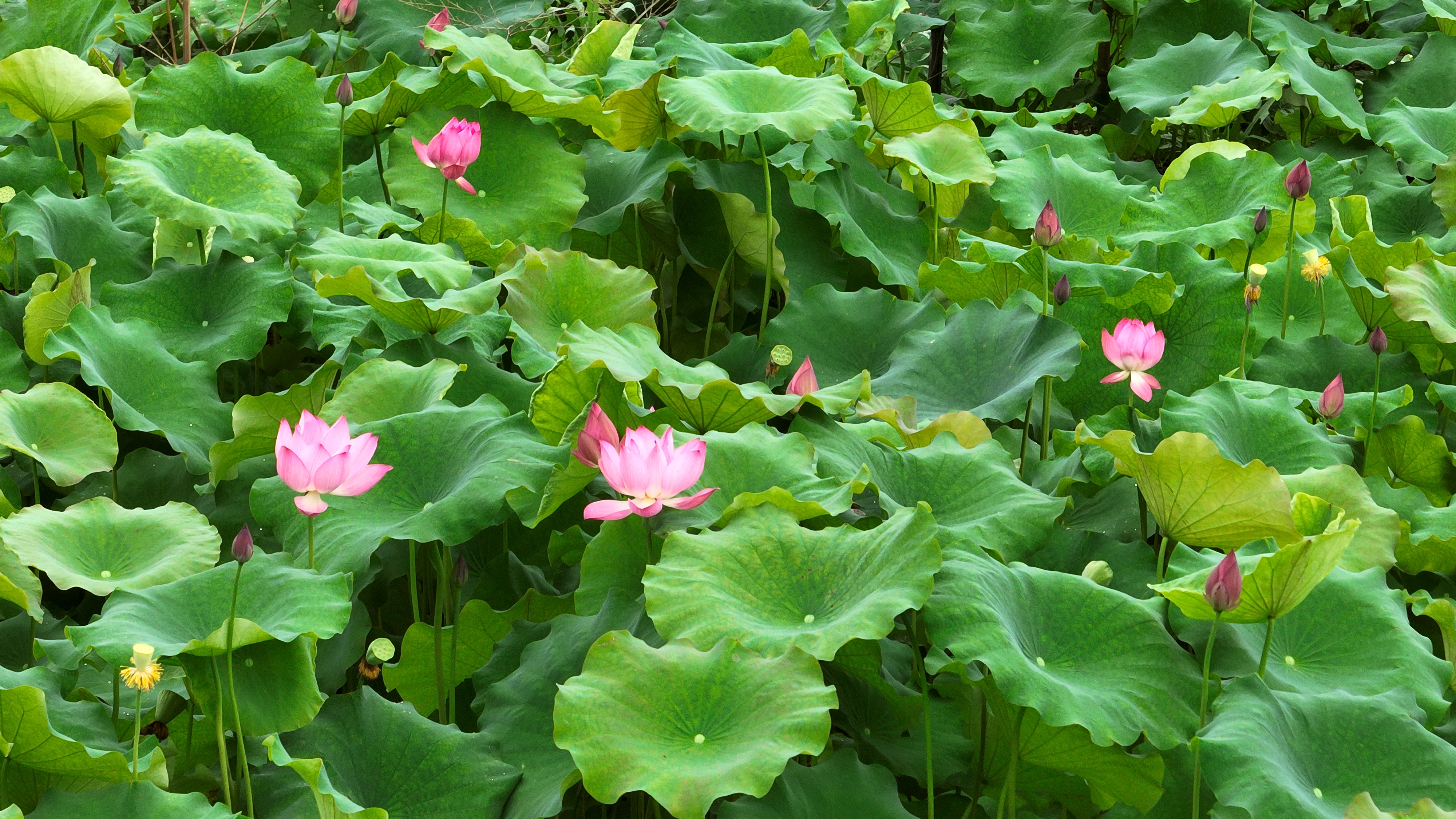 image005.jpg
