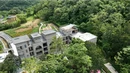 宜章：抬头见“喜树”  果实挂满枝