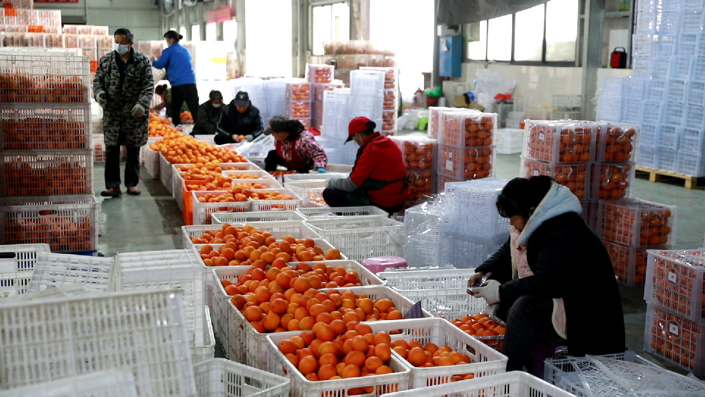 8495b8e66026345cc3147ff291585a13.jpg 8495b8e66026345cc3147ff291585a13.jpg