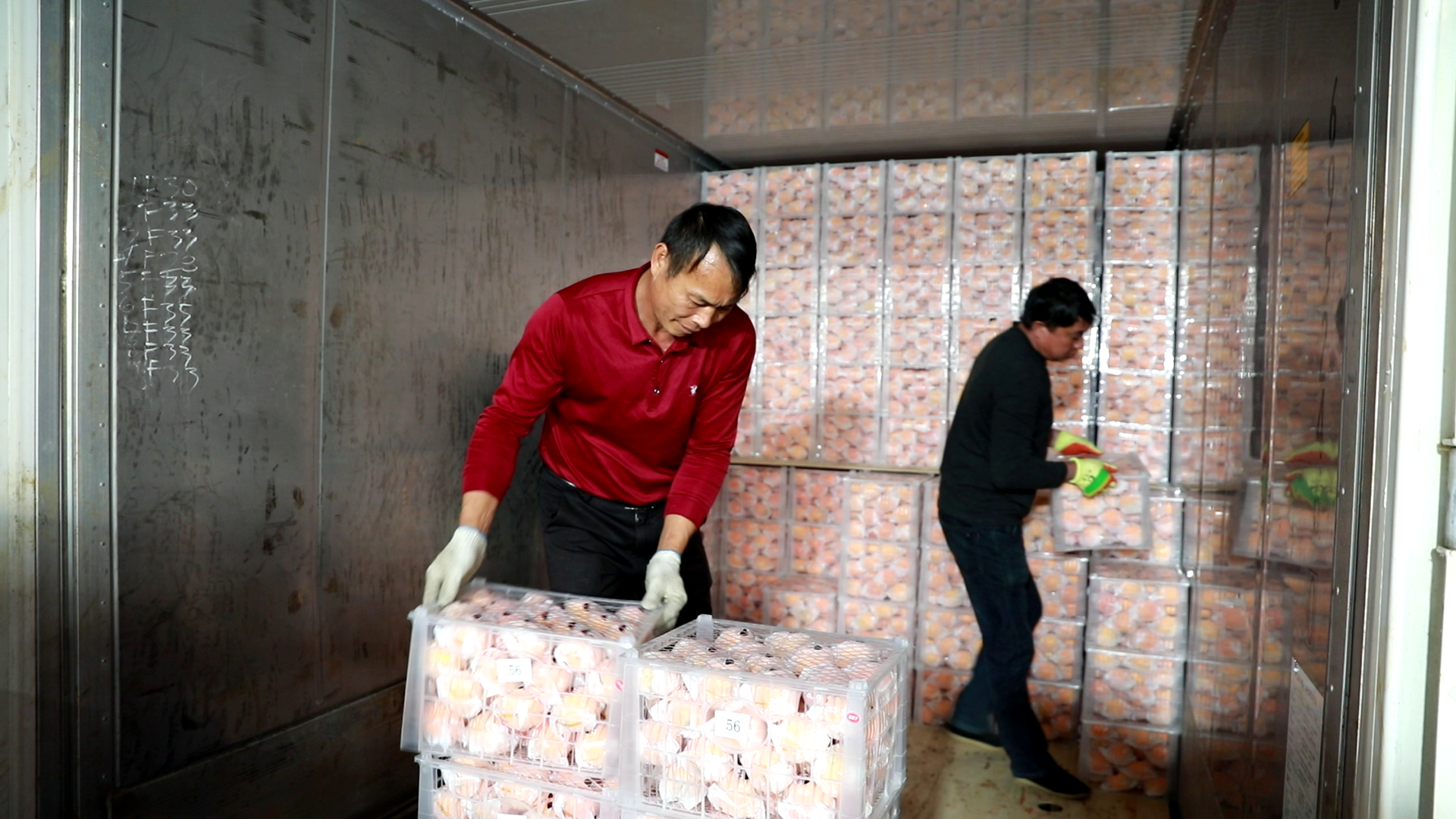 2fcf3c1dd64ff790ec5d6c28befb62fe.png 2fcf3c1dd64ff790ec5d6c28befb62fe.png