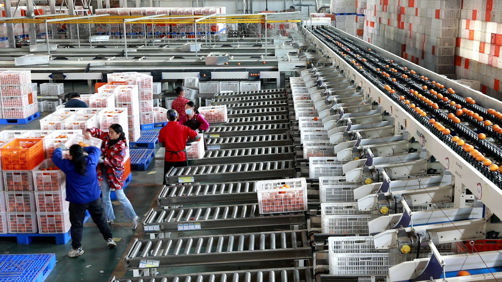 4d2d081c659d9015bb7f3f42f600f6a1.png 4d2d081c659d9015bb7f3f42f600f6a1.png