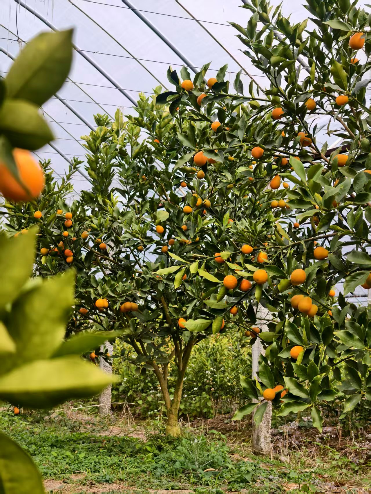 e5fee068abd3b02f53eff615d28151f8.jpg e5fee068abd3b02f53eff615d28151f8.jpg