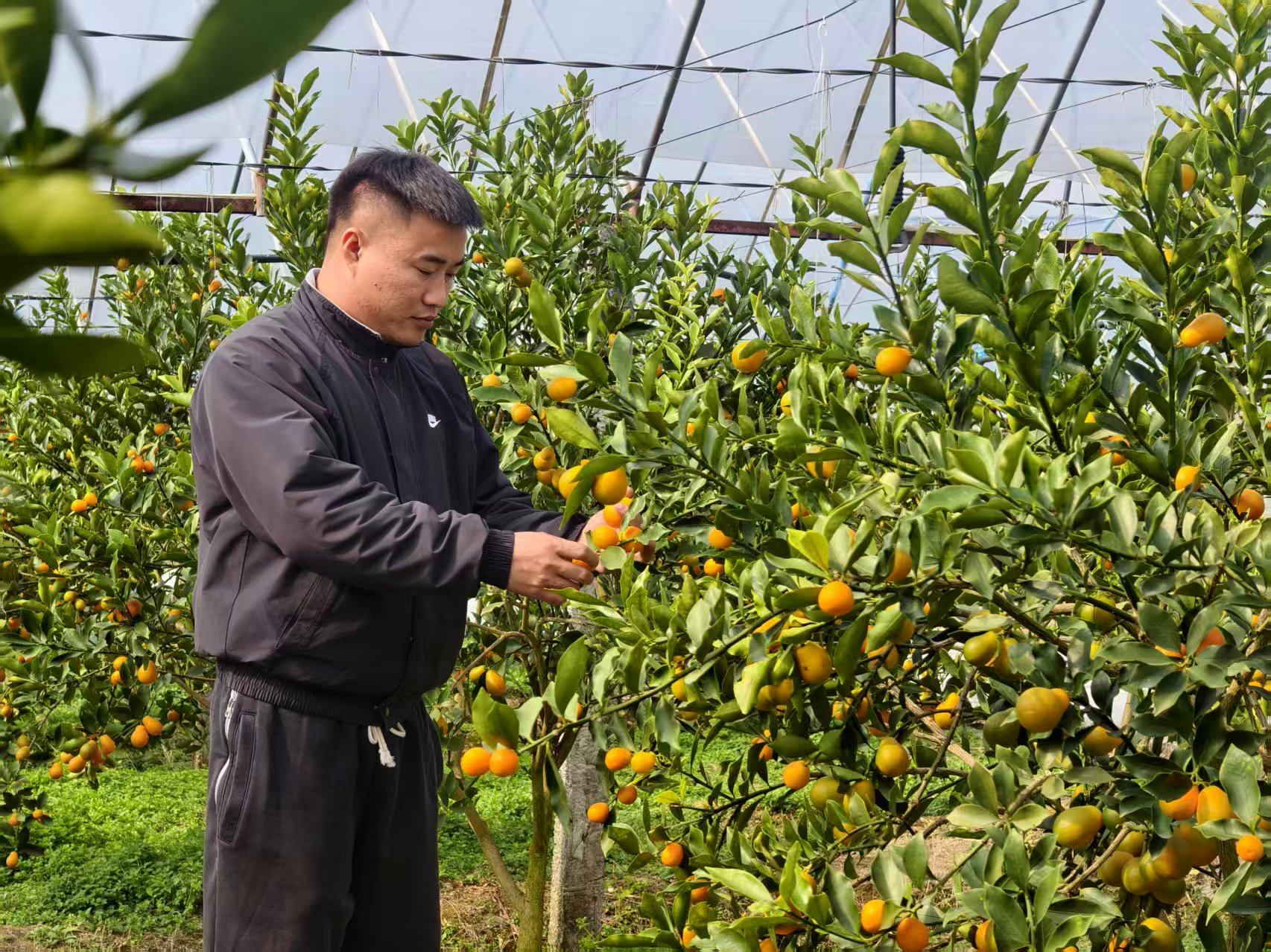 789e47a355c8f965db2373f57a31fd7e.jpg 789e47a355c8f965db2373f57a31fd7e.jpg