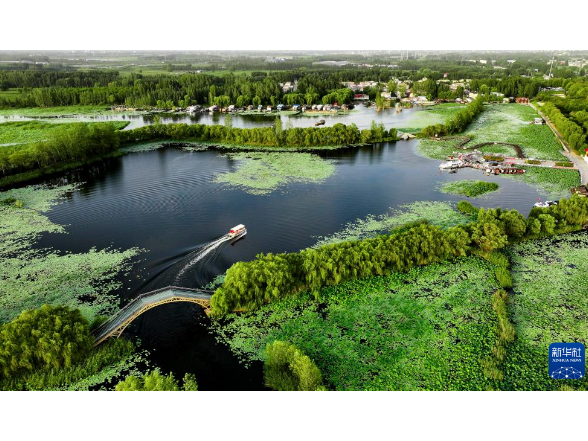 好评中国·两会热评丨五个“首提”释放出清晰“绿色信号”