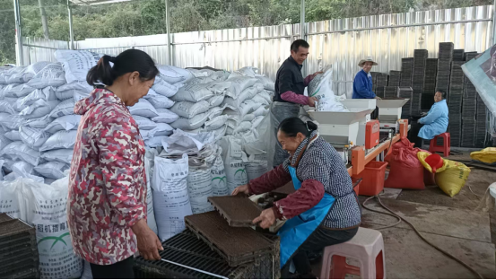 宜章县：智慧农机备春耕 科技赋能保丰收543.png