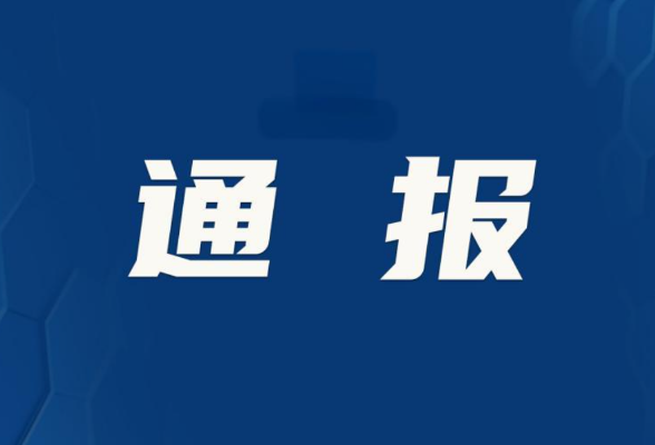 中共宜章县信访局党组关于巡察整改进展情况的通报