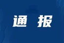 中共宜章县信访局党组关于巡察整改进展情况的通报