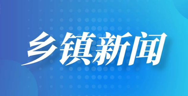 梅田镇：巡察整改背后的民生温度