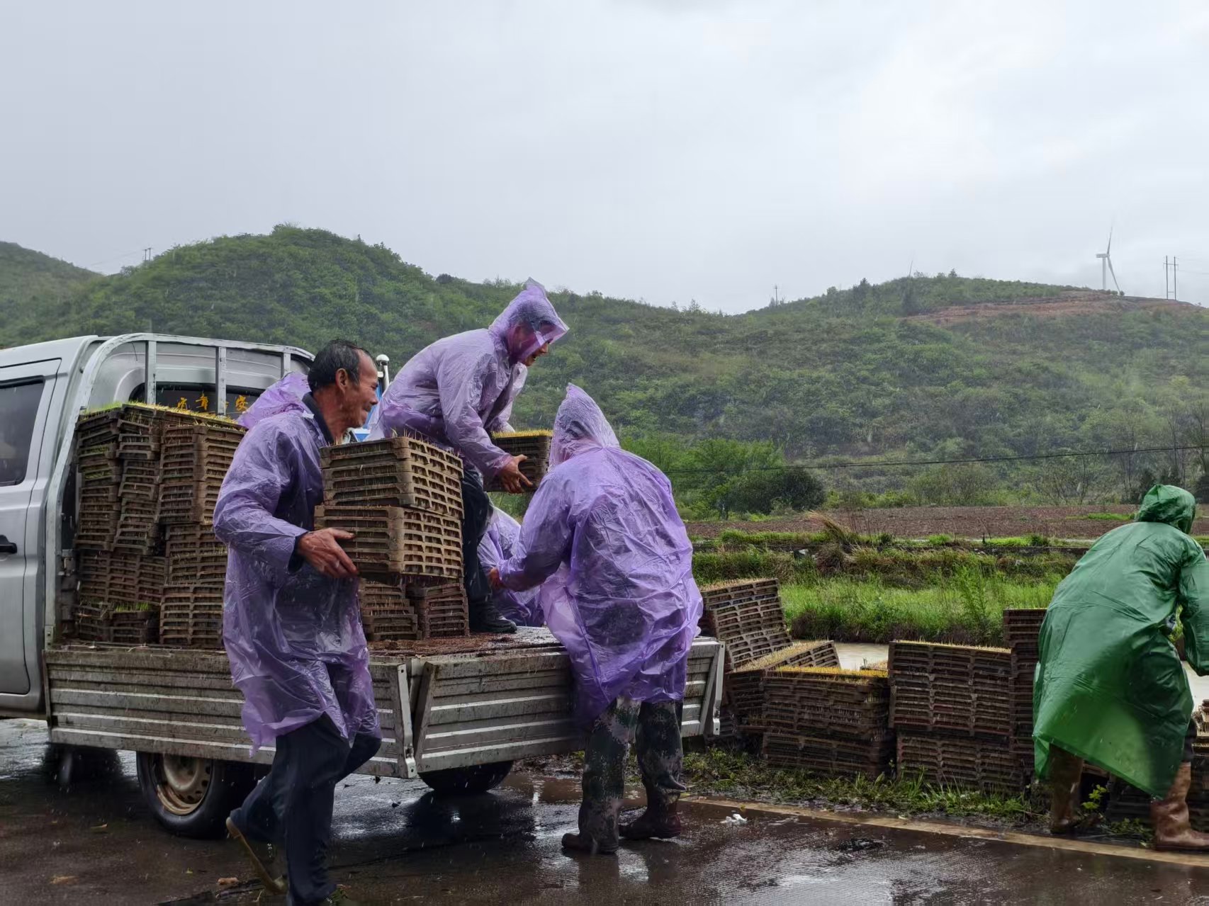 626573f619717a74fbb89255c7adfda0.jpg 626573f619717a74fbb89255c7adfda0.jpg