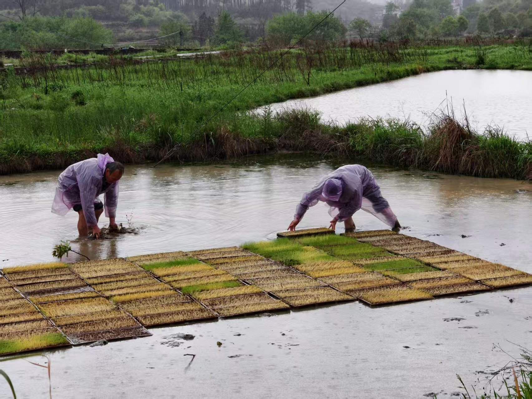 ab6f796df7b54ce9aab8042706b58e6c.jpg ab6f796df7b54ce9aab8042706b58e6c.jpg