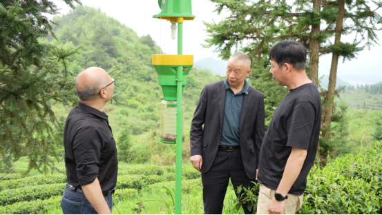 宜章县严廊村：春染茶山采摘忙   茶香四溢促增收2865.png