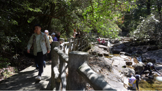 宜章莽山：春暖将军寨  风光无限美265.png