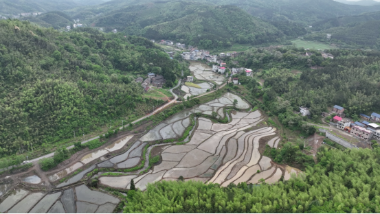 宜章县浆水乡：早稻插秧忙  田间披“新绿”(2)671.png