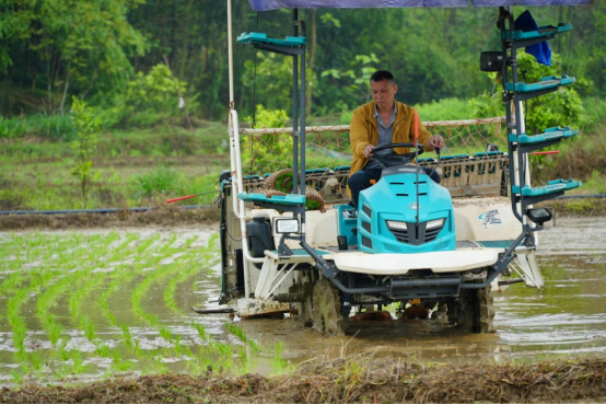 宜章：早稻插秧正当时   机械化助力忙春耕 （新媒体）740.png