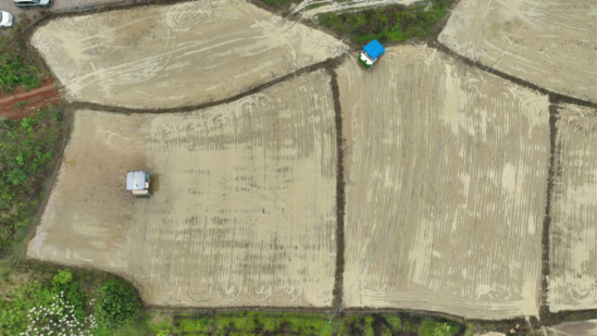 宜章：早稻插秧正当时   机械化助力忙春耕 （新媒体）734.png