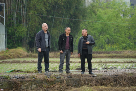 宜章：早稻插秧正当时   机械化助力忙春耕 （新媒体）741.png