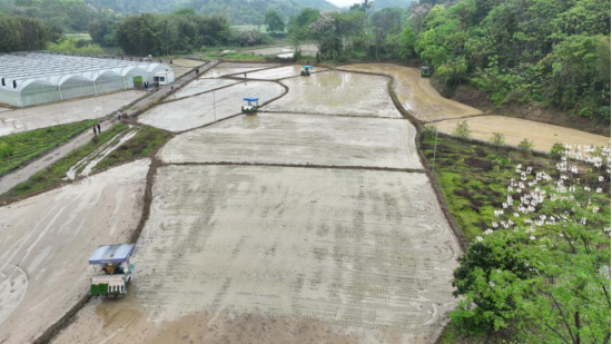 宜章：早稻插秧正当时   机械化助力忙春耕 （新媒体）735.png