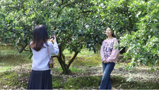 宜章:脐橙花开春光美441.png 宜章:脐橙花开春光美441.png