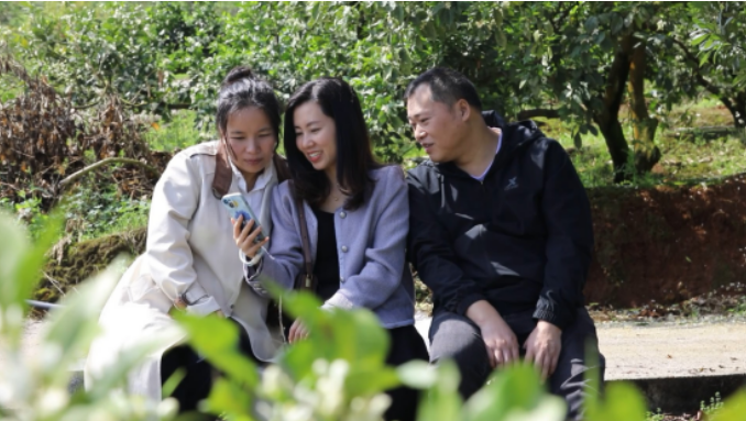 宜章：脐橙花开春光美