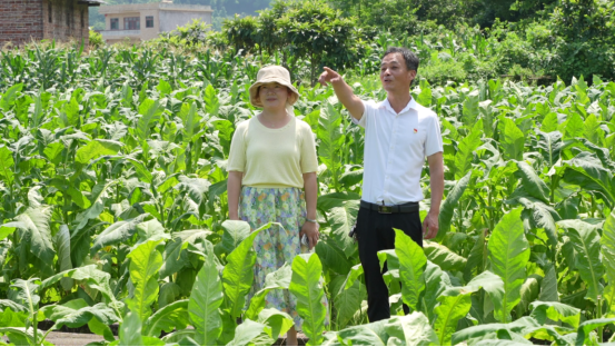 2025年郴州市劳动模范李锋：田间地头践初心   扎根基层办实事1364.png