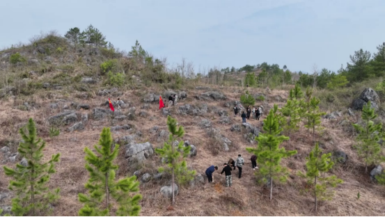 宜章县赤石乡：石漠化荒山蜕变绿色“花果山”（新媒体）703.png