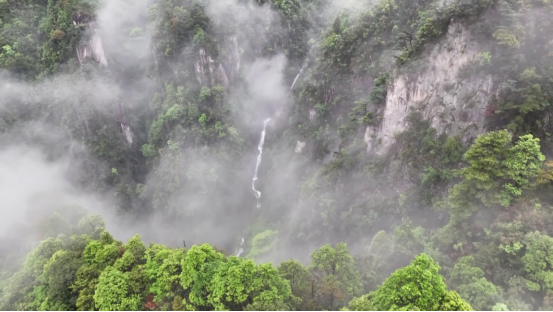 宜章莽山:暑期“避暑游”持续升温557.png 宜章莽山:暑期“避暑游”持续升温557.png